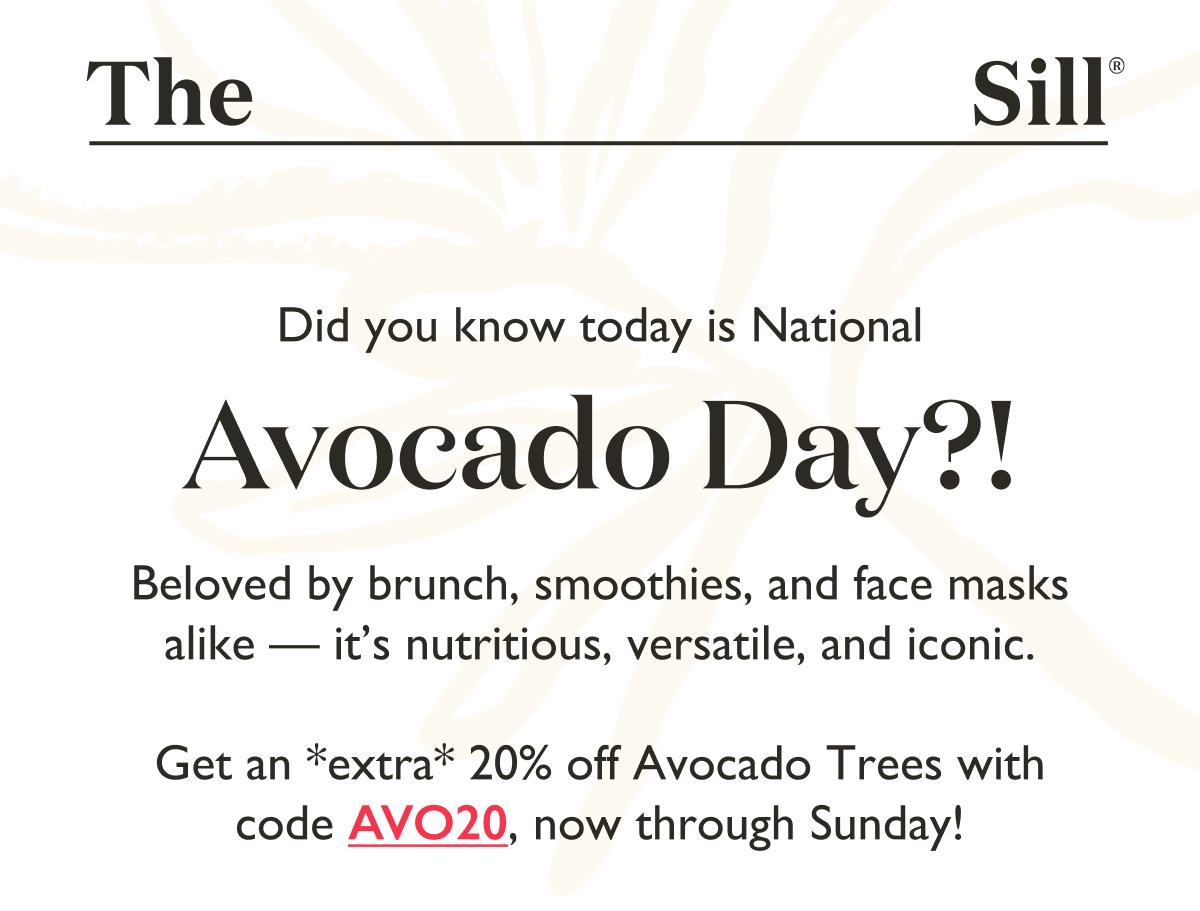 Did you know today is National Avocado Day? Get an extra 20% off Avocado Trees with code AVO20 - ends Sunday.