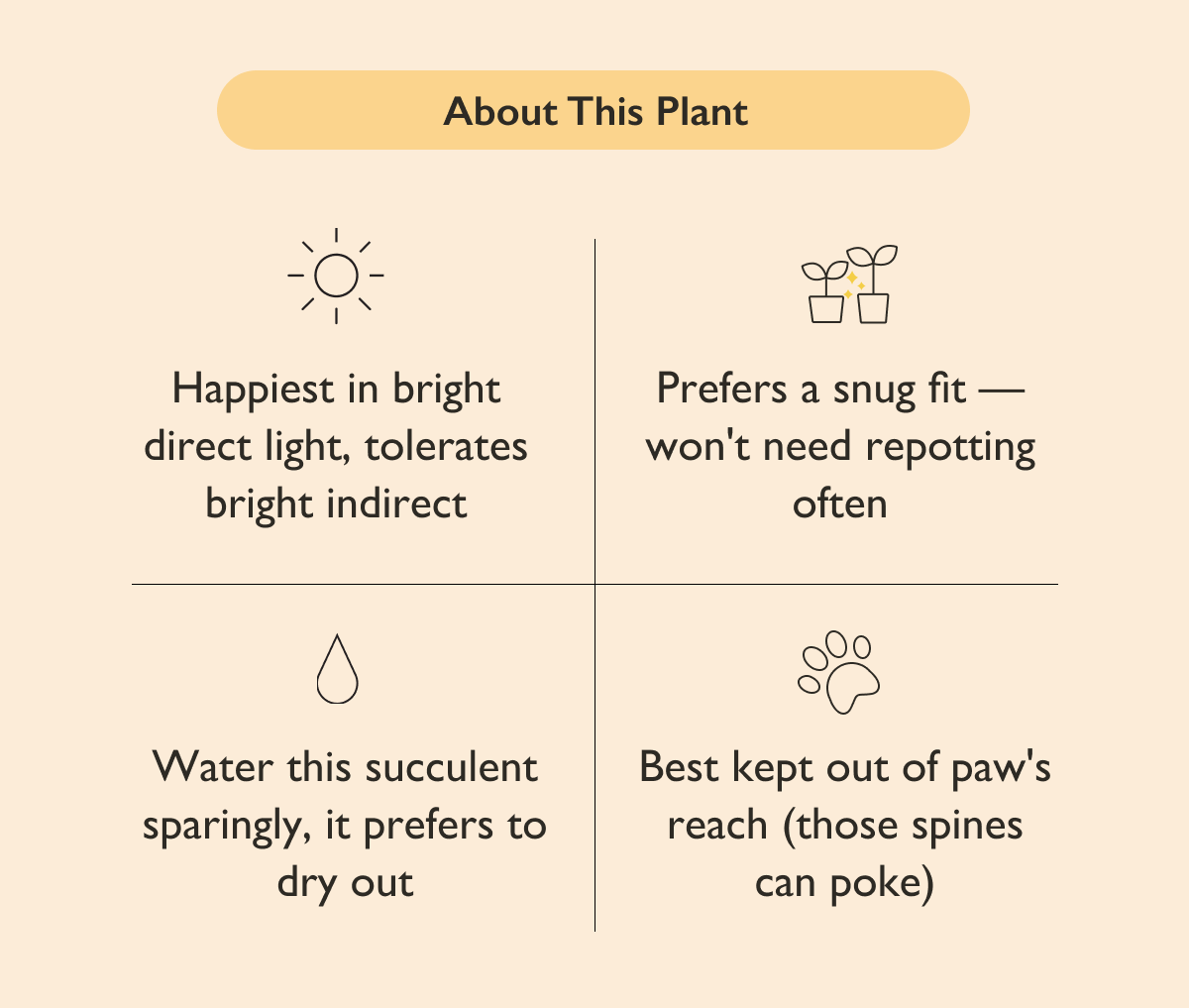 Pictured: Fairy Castle Cactus Guide Pictured: Fairy Castle Cactus Guide