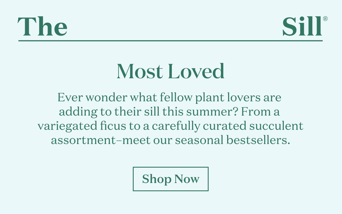 Most Loved. Ever wonder what fellow plant lovers are adding to their sill this summer?