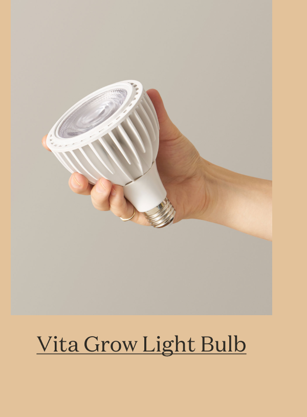 Vita Grow Light Bulb