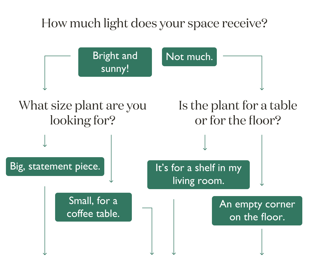 The Plant Quiz