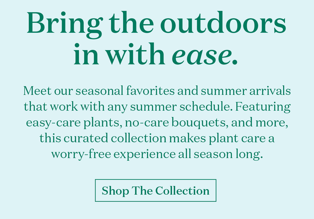 Bringing the outdoors in with ease. Meet our seasonal favorites and summer arrivals that work with any summer schedule. Featuring easy-care plants, no-care bouquets, and more, this curated collection makes plant care a worry-free experience all season long.
