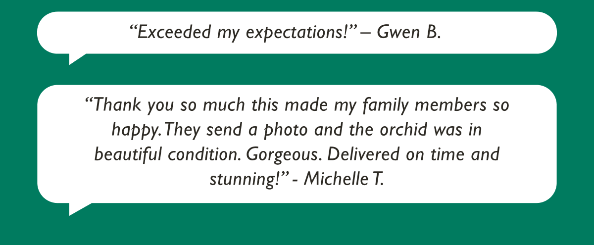 "Exceeded my expectations!" - Gwen B. 