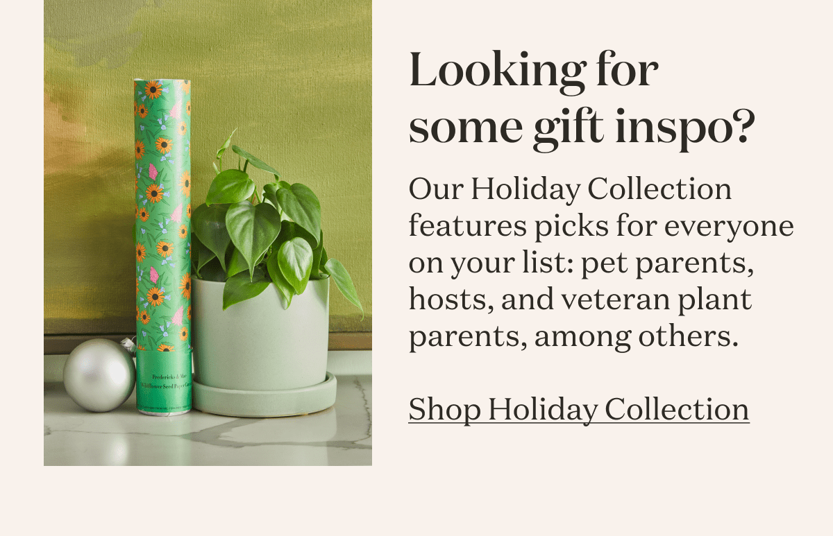 Looking for some gift inspo? Shop Holiday Collection. 