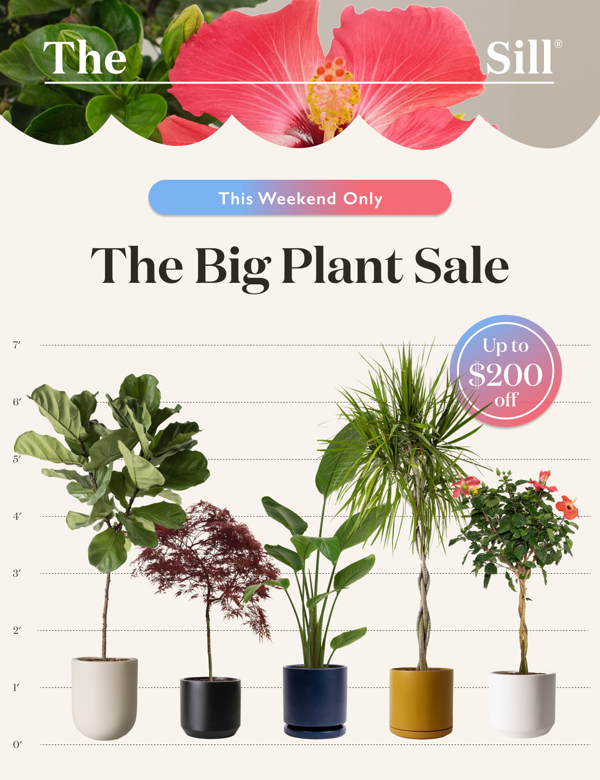 This Weekend Only!