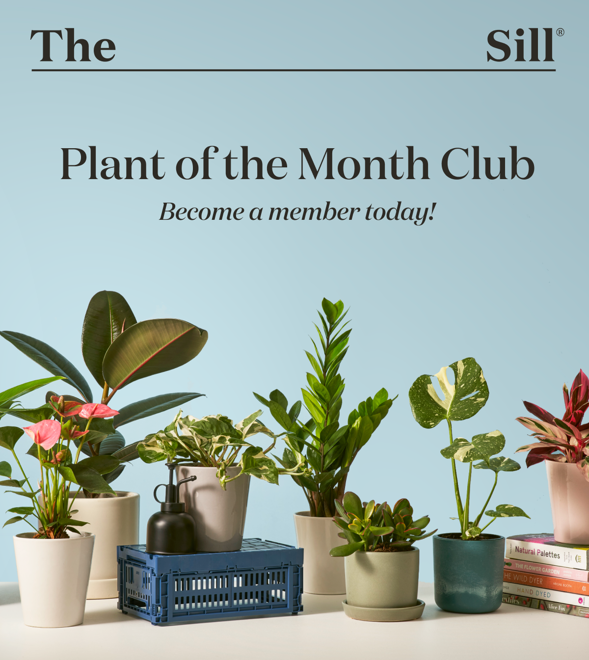 Plant Subscriptions are Back!  and they’re easier than ever!