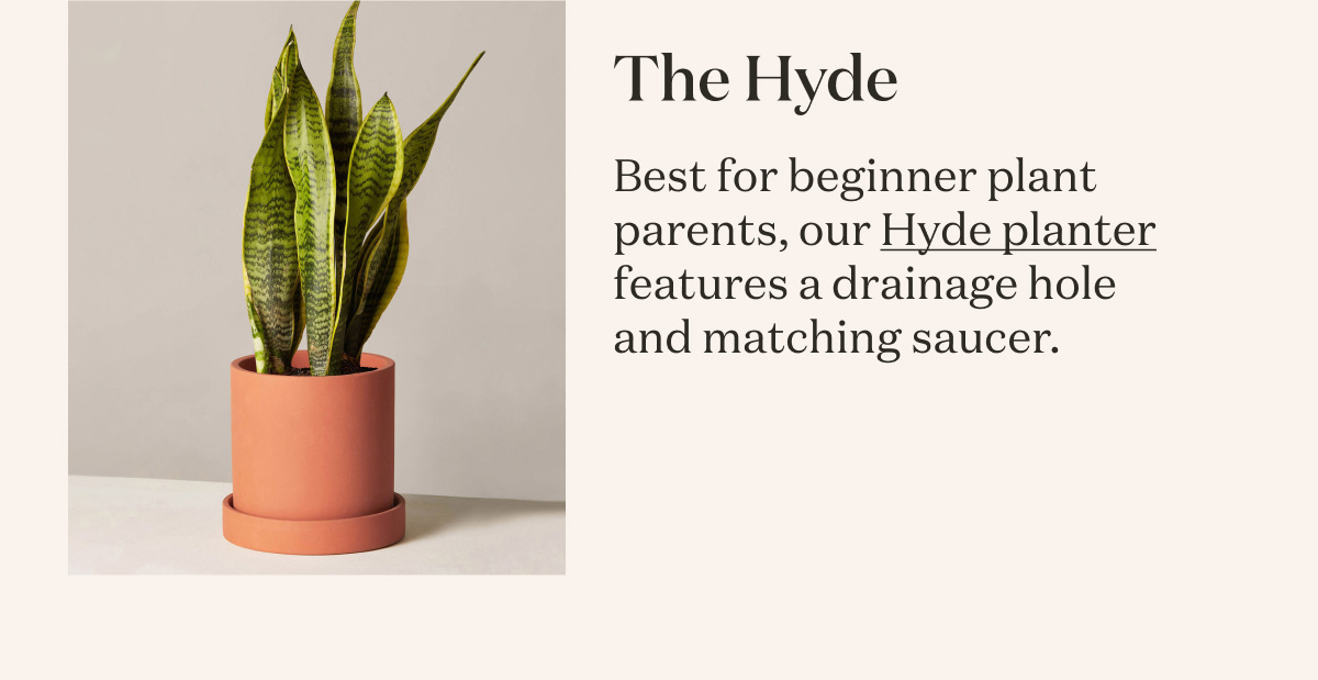 The Hyde