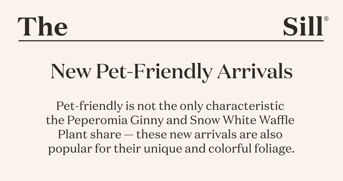 New Pet-Friendly Arrivals