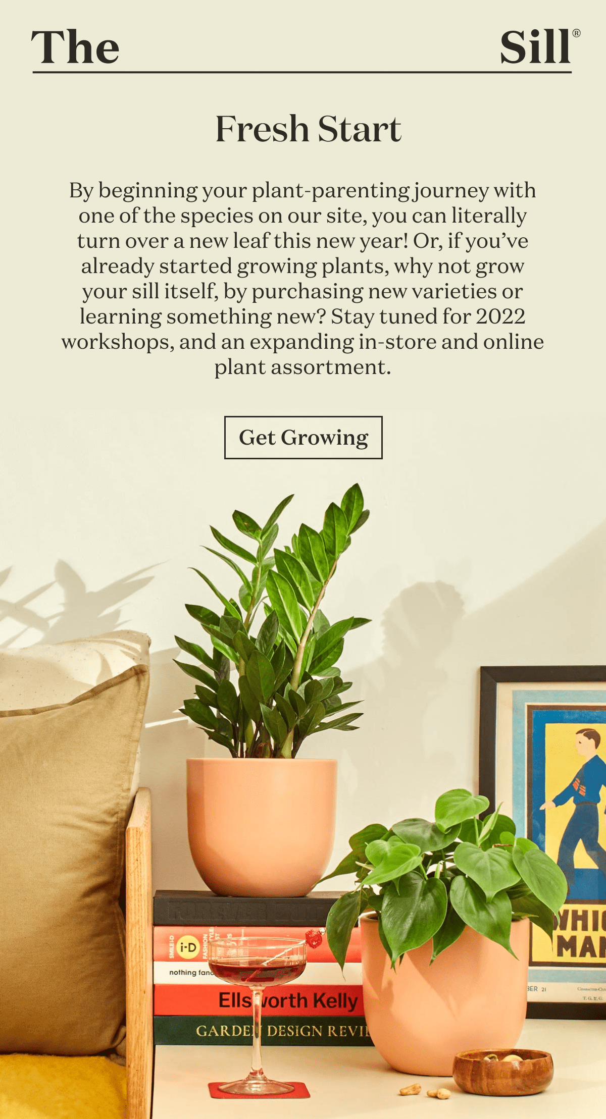By beginning your plant-parenting journey with one of the species on our site, you can literally turn over a new leaf this new year! Or, if you’ve already started growing plants, why not grow your sill itself, by purchasing new varieties or learning to propagate? Stay tuned for 2022 propagation workshops, and an expanding in-store and online plant assortment. 