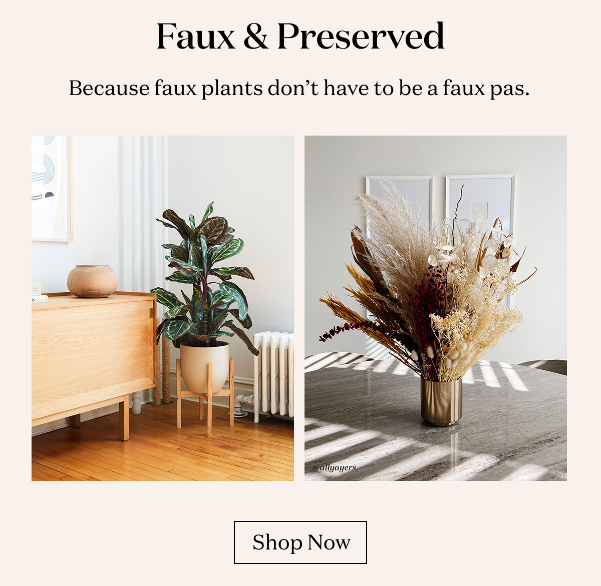 Faux & Preserved