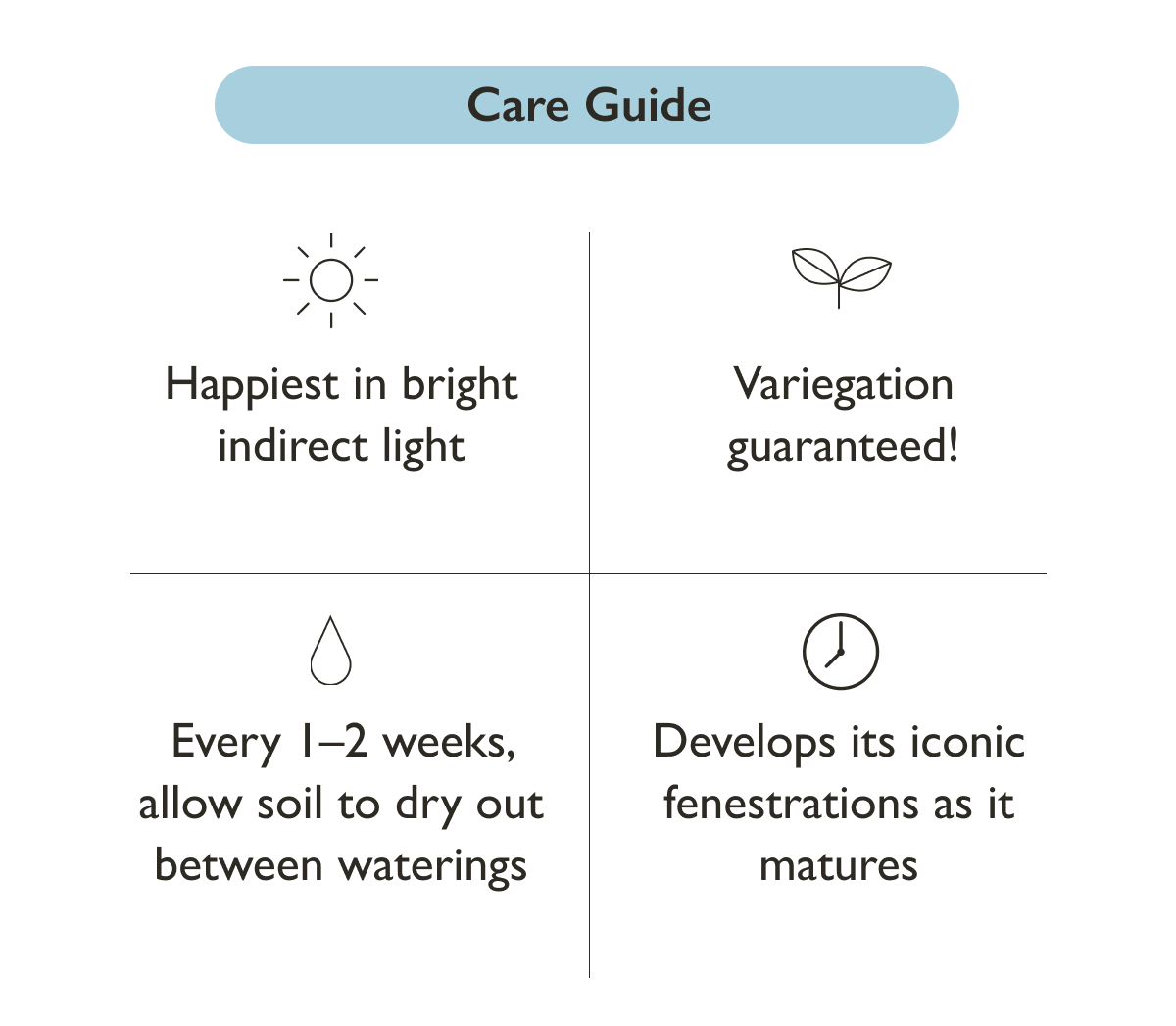 Thai Constellation Care Guide