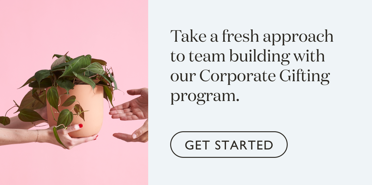Take a fresh approach to team building with our Corporate Gifting program. Get started. 