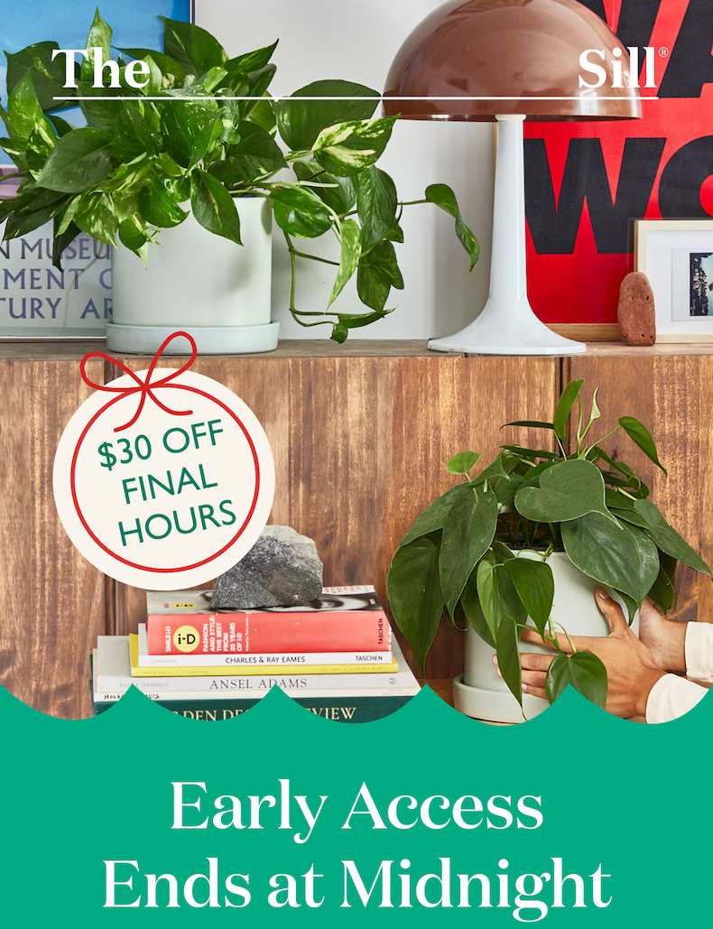 Early Access Ends at Midnight