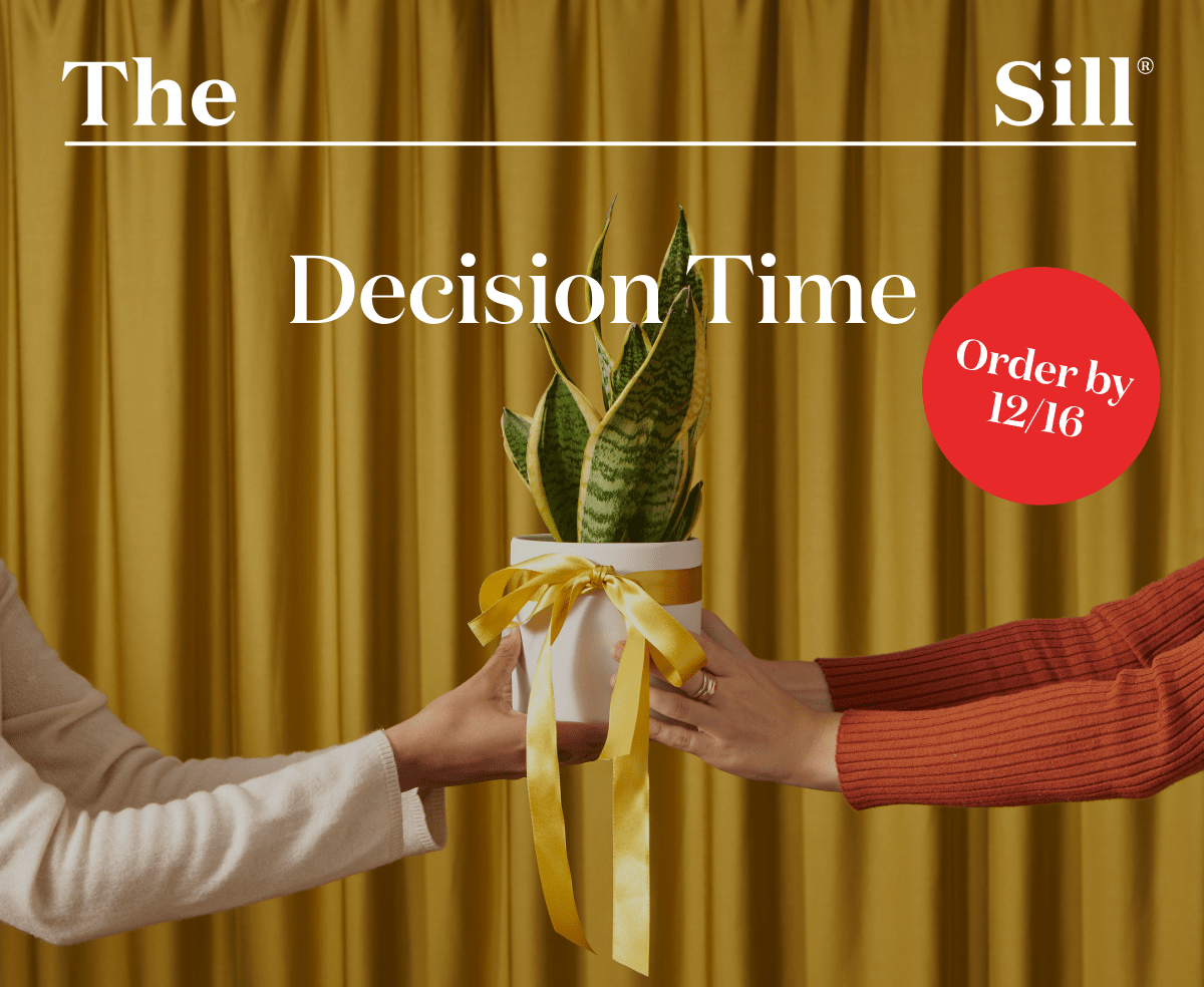 Decision Time. Order by 12/16