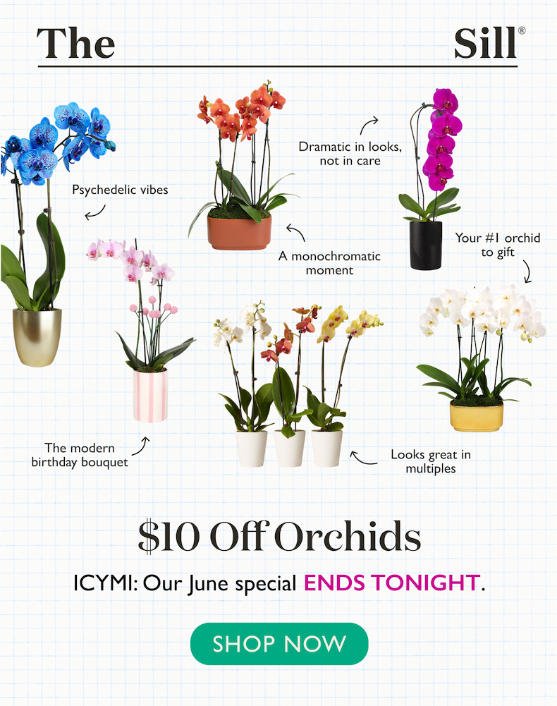 Our June special ends tonight. Get $10 off our favorite flowering houseplant.