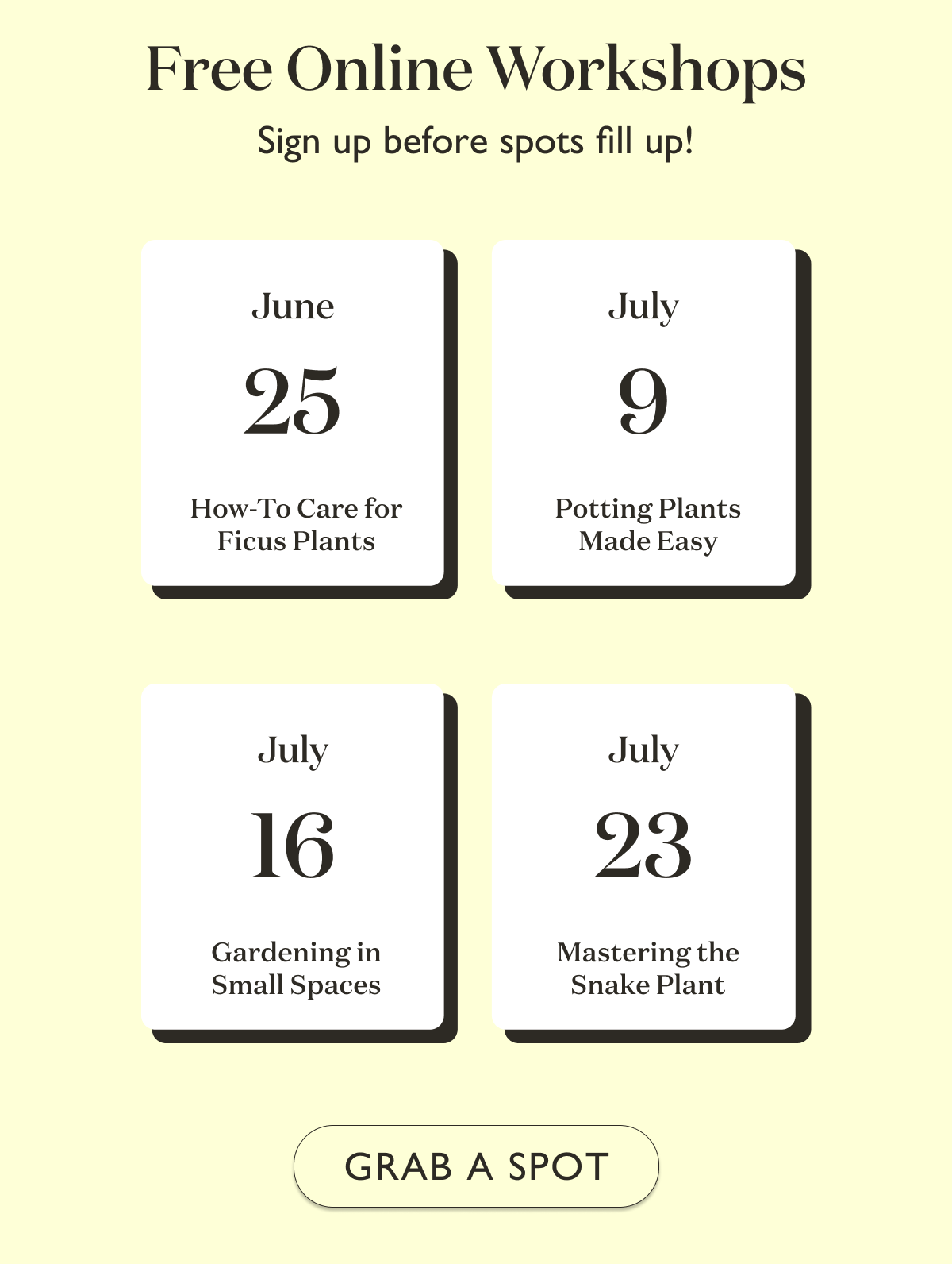 Free Online Workshops - Grab your spot now! 