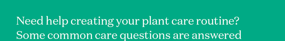 Need help creating your plant care routine?