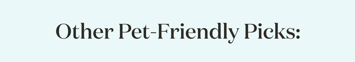 Other Pet-Friendly Picks