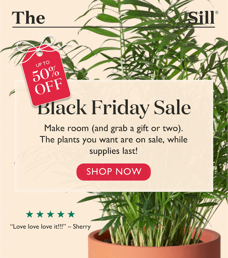 Our Black Friday Sale is on! Make room, and grab a gift or two. Up to 50% Off.