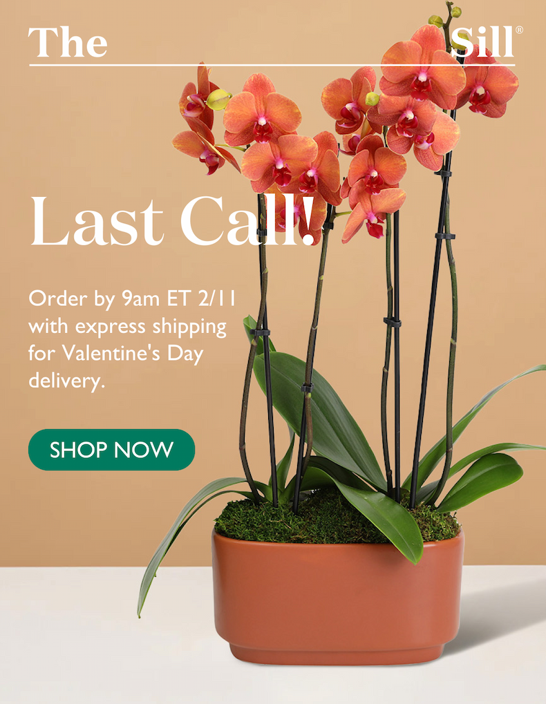 Order by 9am ET 2/11 with express shipping for Valentine's Day delivery! Shop now. 