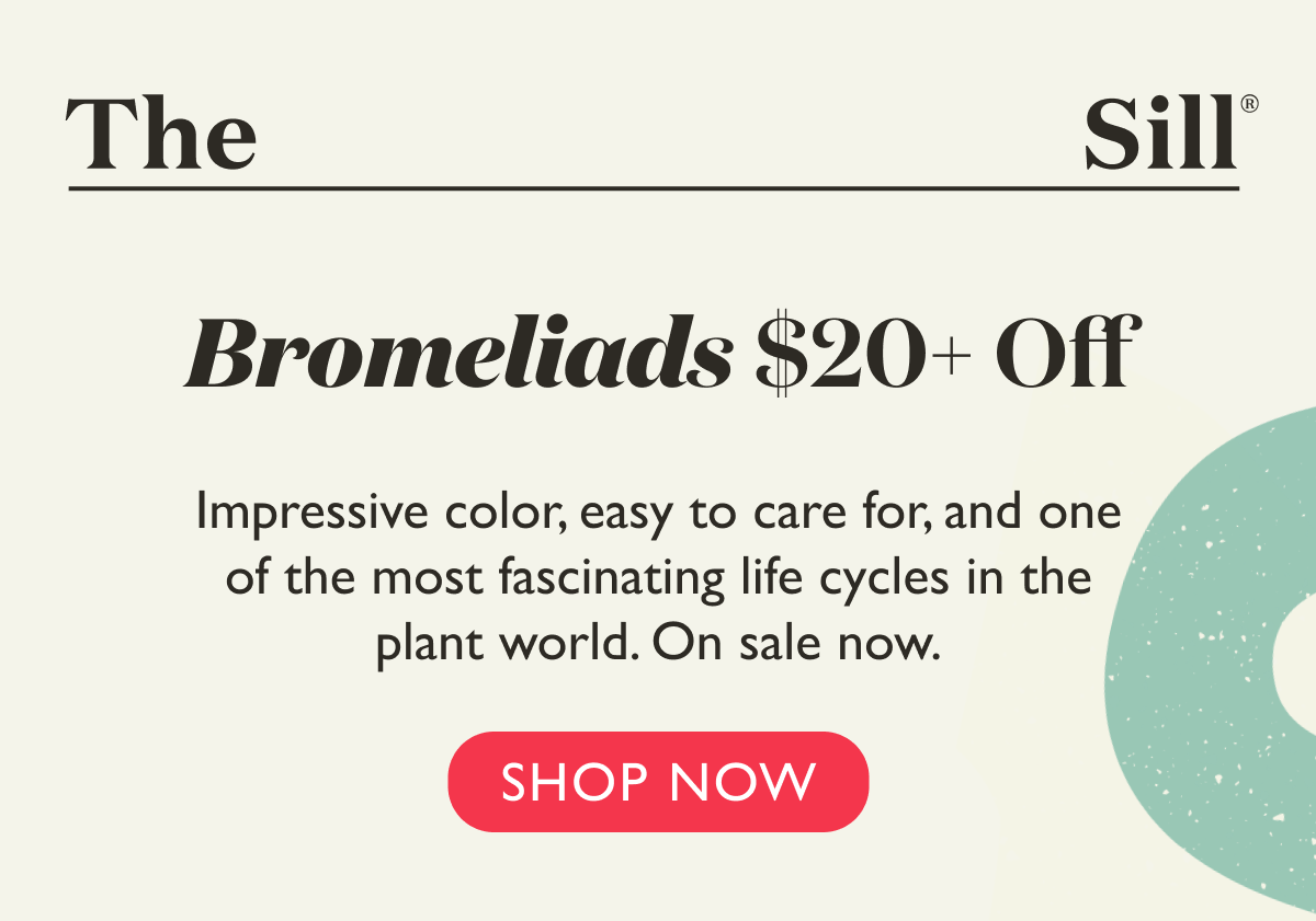 Impressive color, easy to care for, and one of the most fascinating life cycles in the plant world. On sale now.