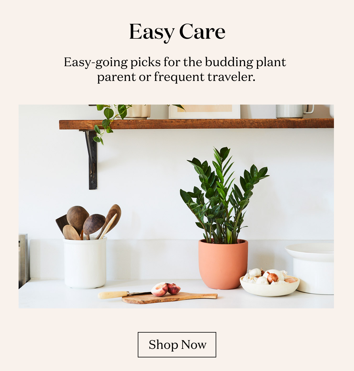 Easy Care