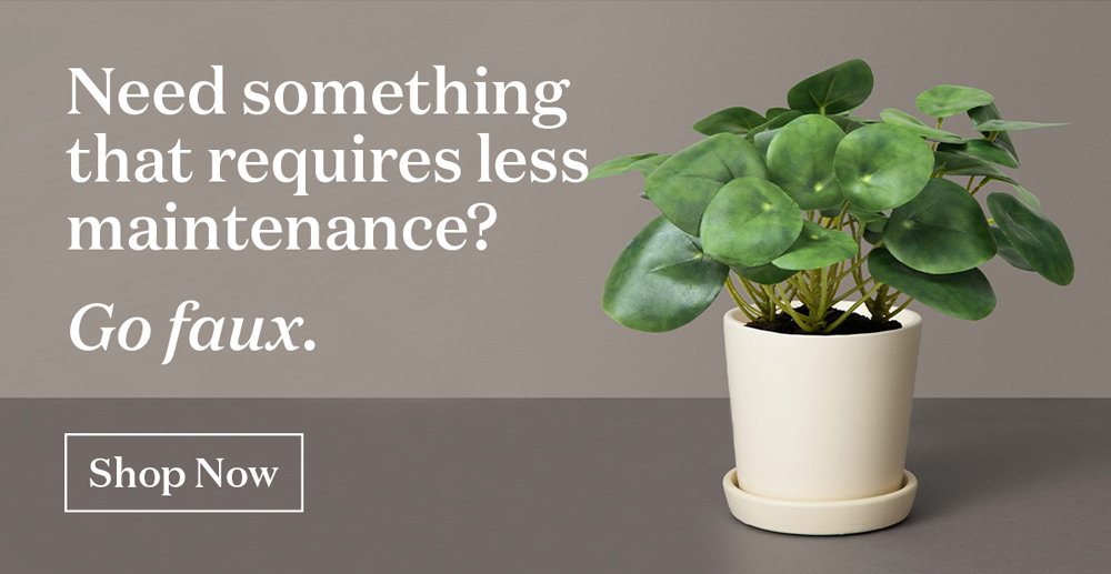 Need something that requires less maintenance? Go faux.