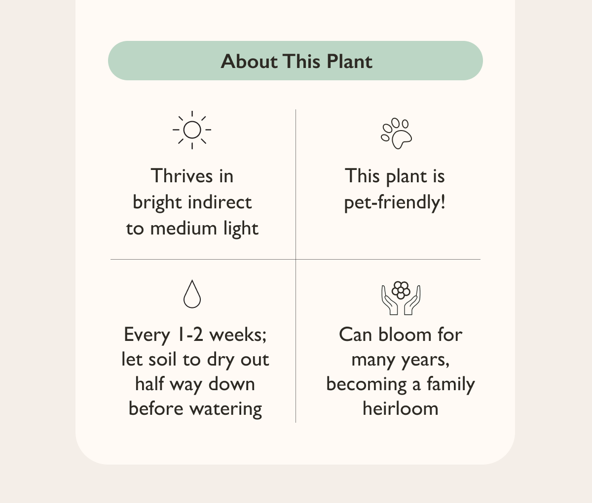 How to care for the Blooming Cactus: bright indirect to medium light, and water every 1 to 2 weeks when soil is dry about half way down or more. 