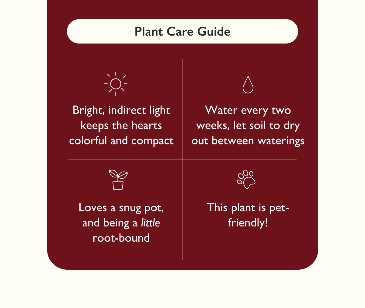 String of Hearts Plant Care Guide