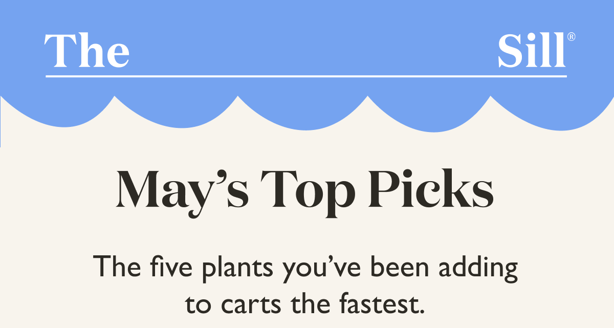 Meet the five plants you've been adding to carts the fast.