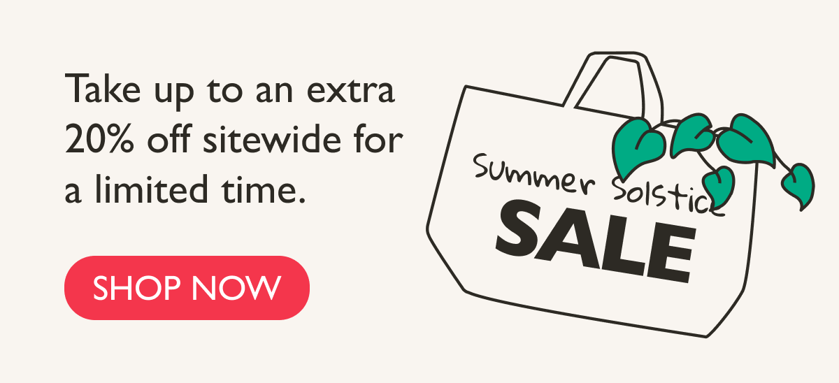 Shop Summer Solstice Sale