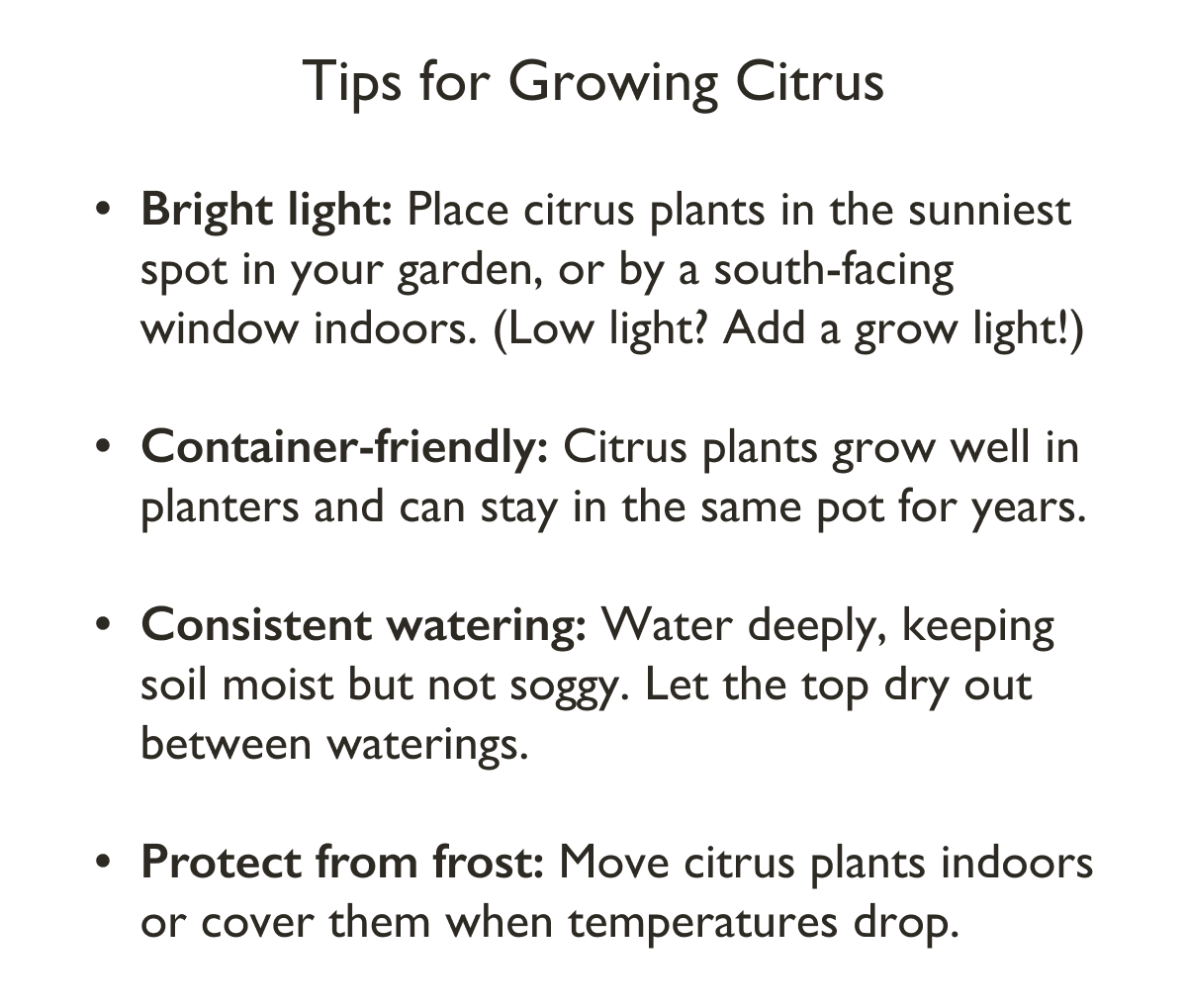 Tips for Growing Citrus: Bright light, container friendly, consistent watering. 