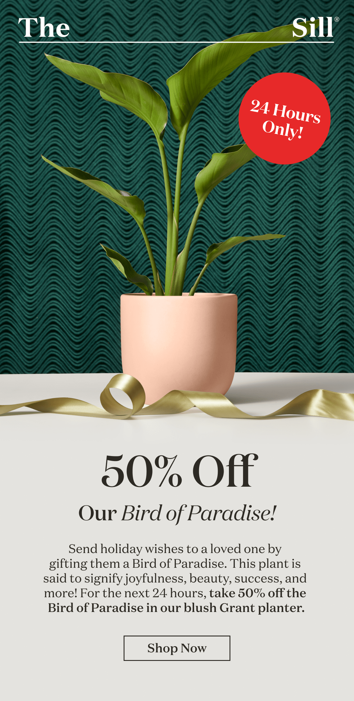 50% Off Our Bird of Paradise! Send holiday wishes to a loved one by  gifting them a Bird of Paradise. This plant is  said to signify joyfulness, beauty, success, and  more! For the next 24 hours, take 50% off the  Bird of Paradise in our blush Grant planter.