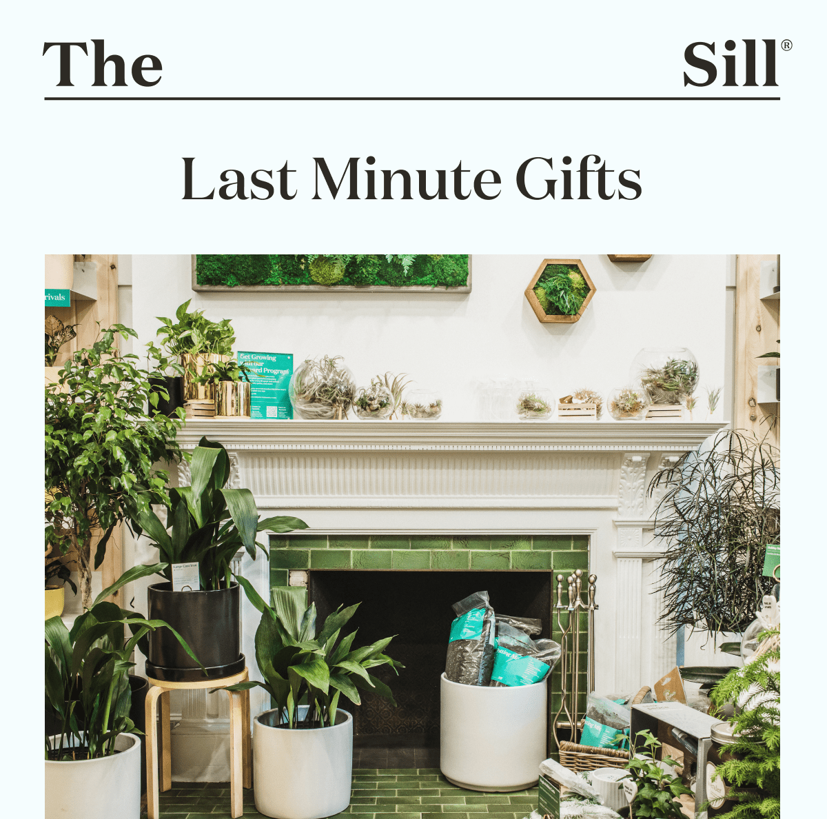 Last Minute Gifts