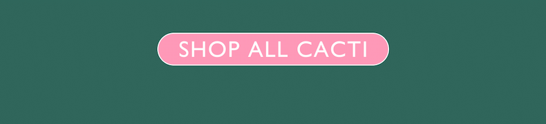 Shop All Cacti