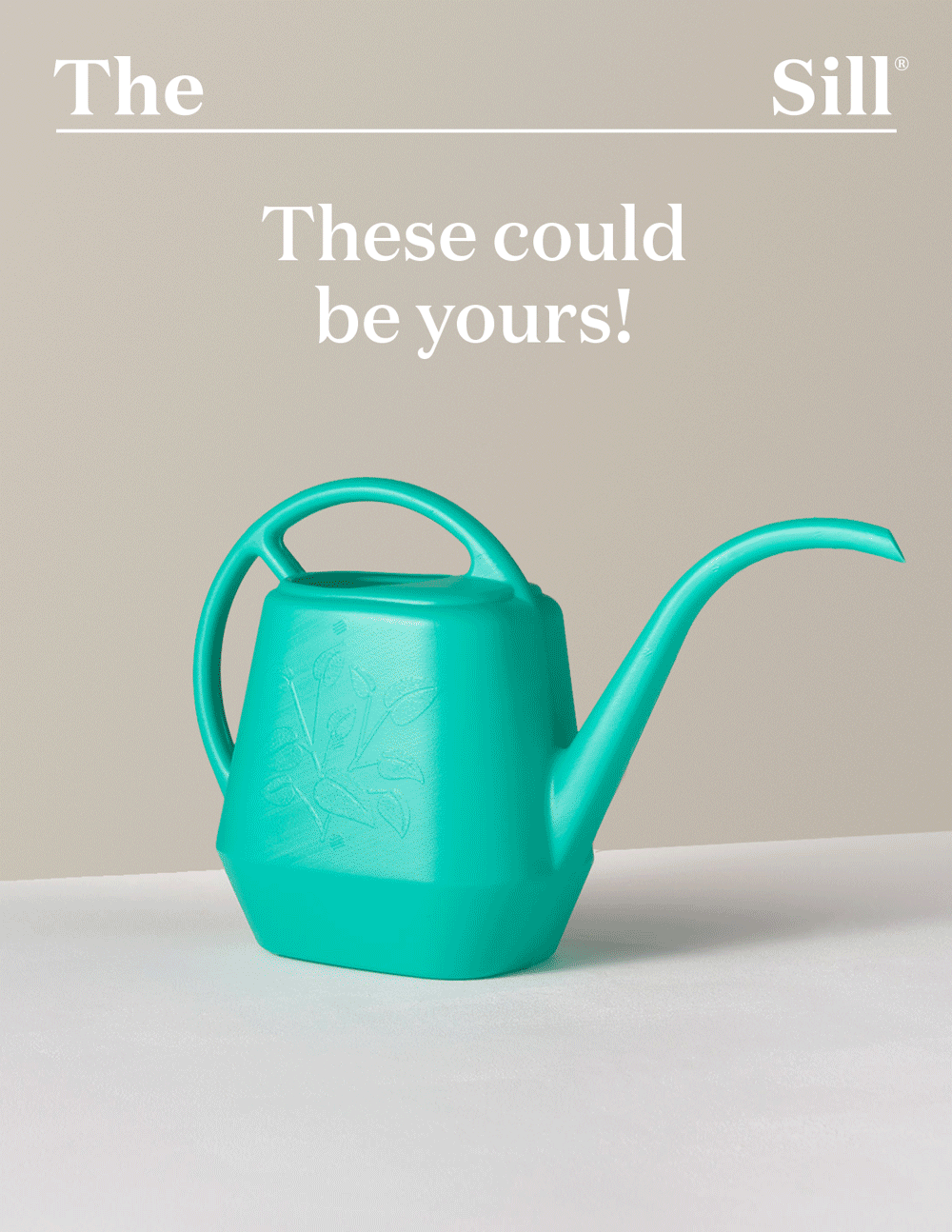 These could be yours!