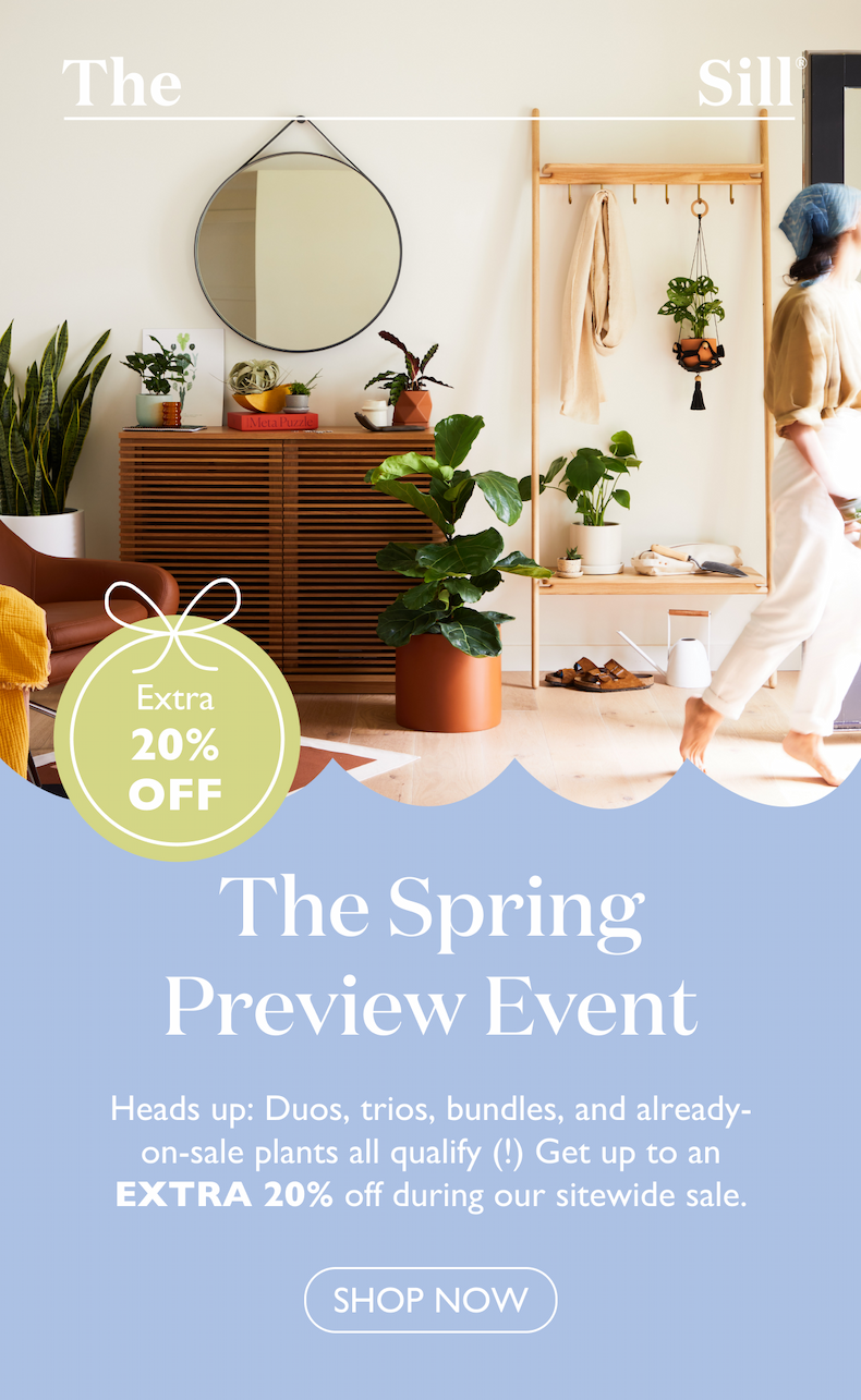 Duos, trios, bundles, and already-on-sale plants all qualify (!) Get up to an EXTRA 20% off during our sitewide sale. Shop now.