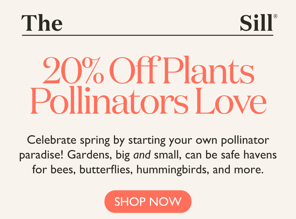 20% Off Plants Pollinators Love: Celebrate spring by starting your own pollinator paradise.