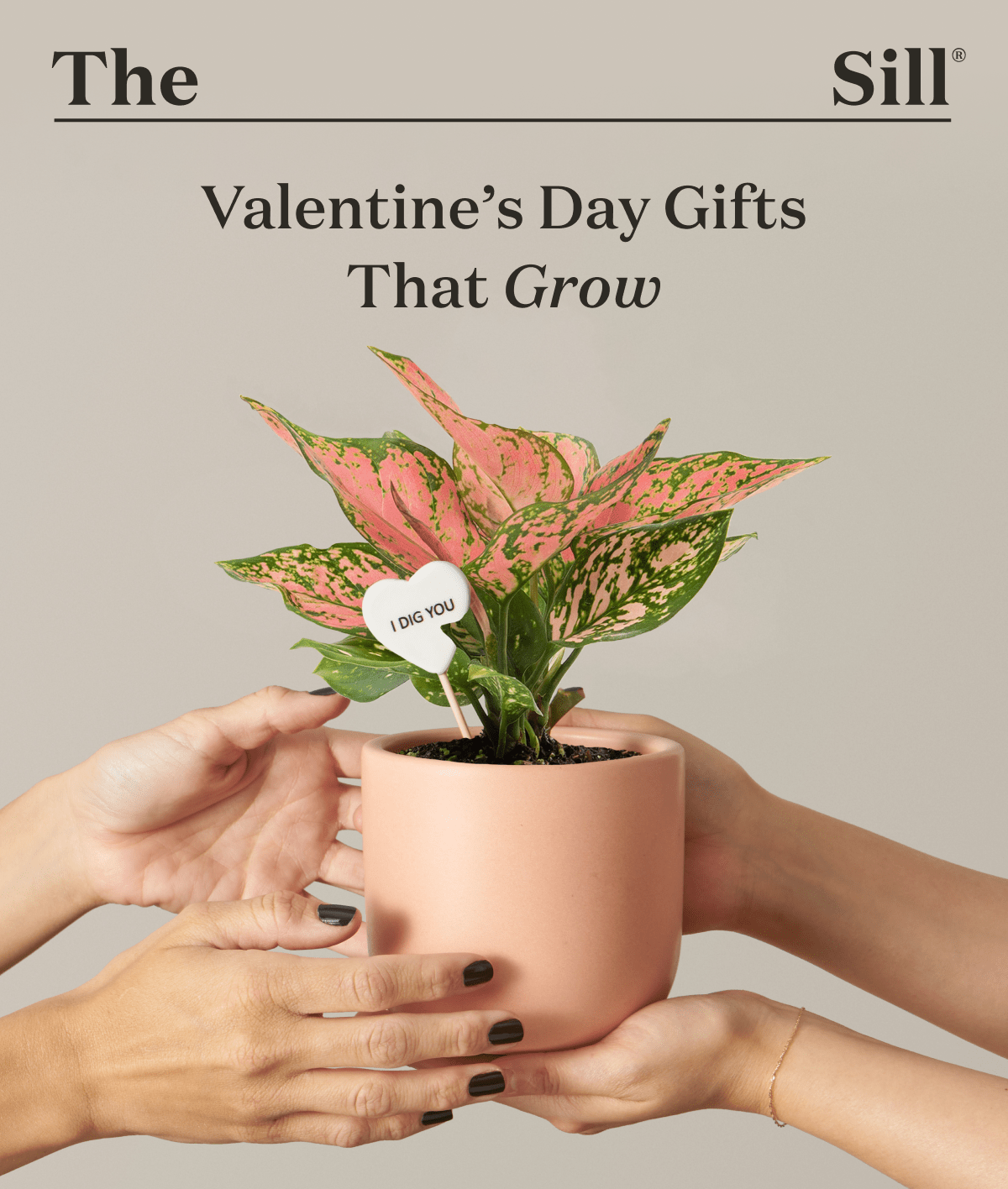 Valentine's Day Gifts That Grow.