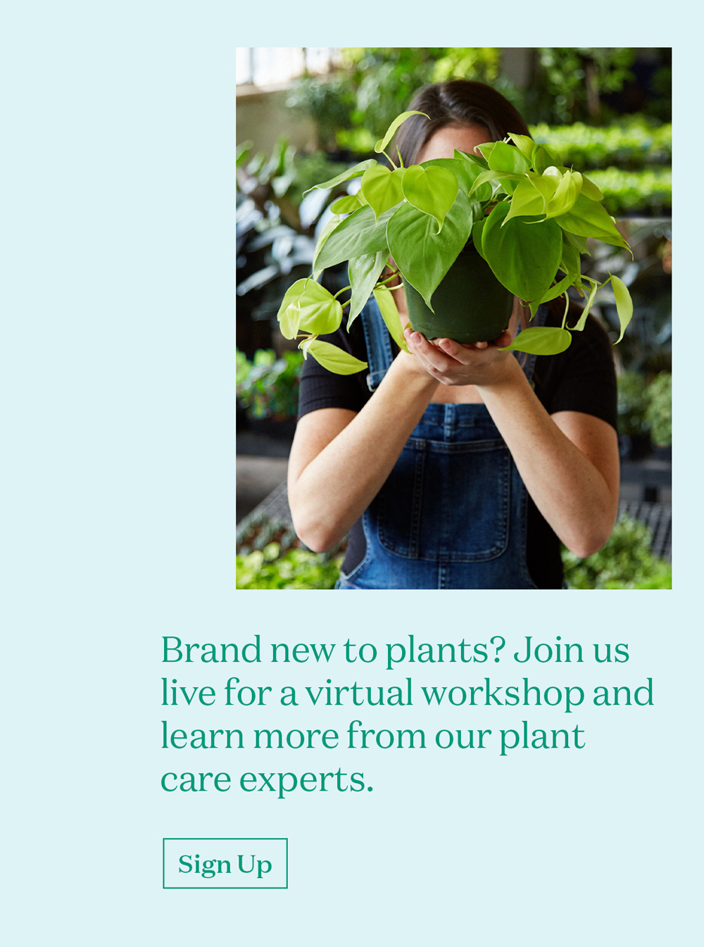 Brand new to plants? Join us live for a virtual workshop and learn more from our plant care experts. [Sign Up]