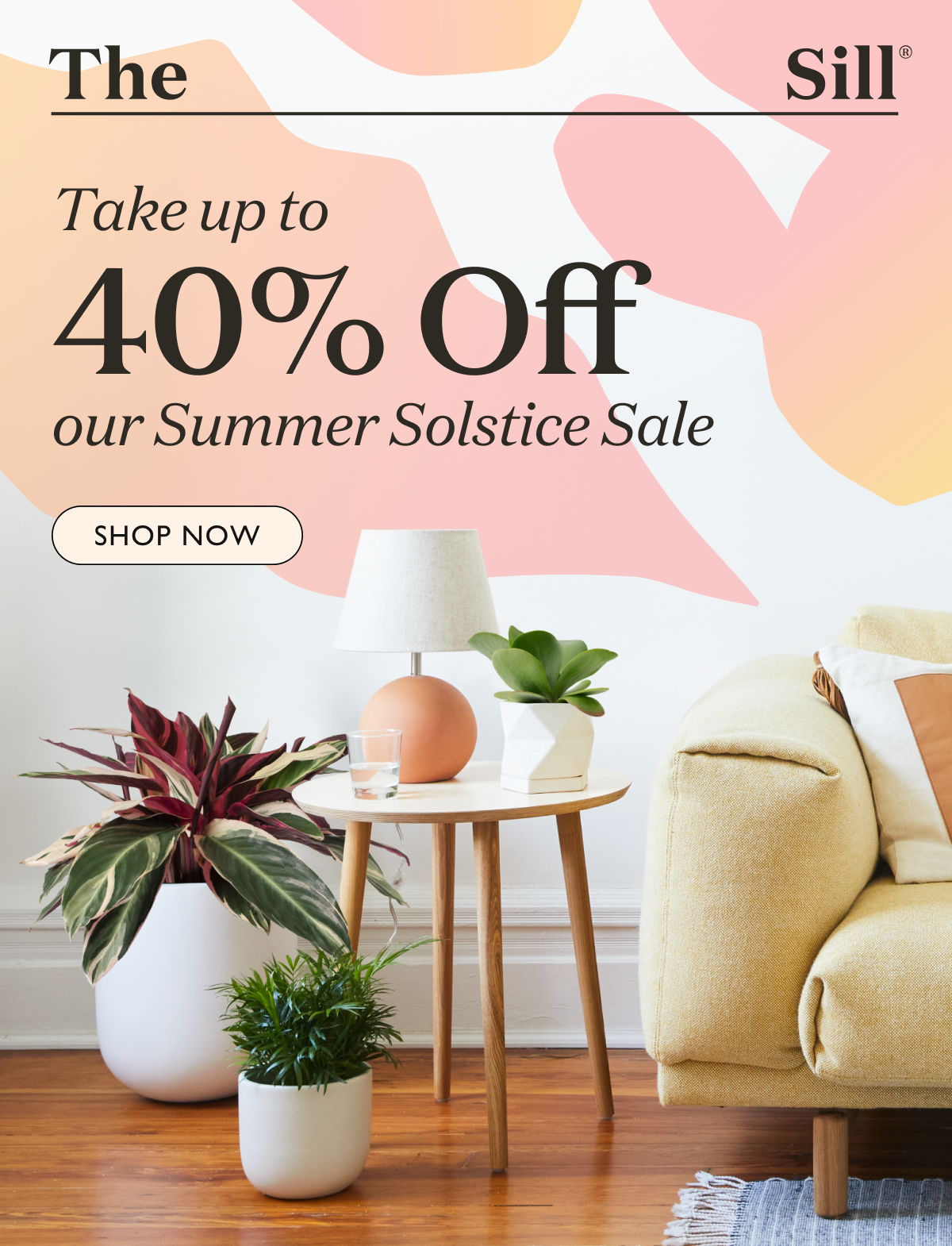 Celebrate the longest day of the year with big savings on seasonal top sellers and year-round favorites. Whether you are starting your green journey or a plant expert, our Summer Solstice Sale has a unique plant to add to your collection.   Enhance your living space. Shop our sale now!