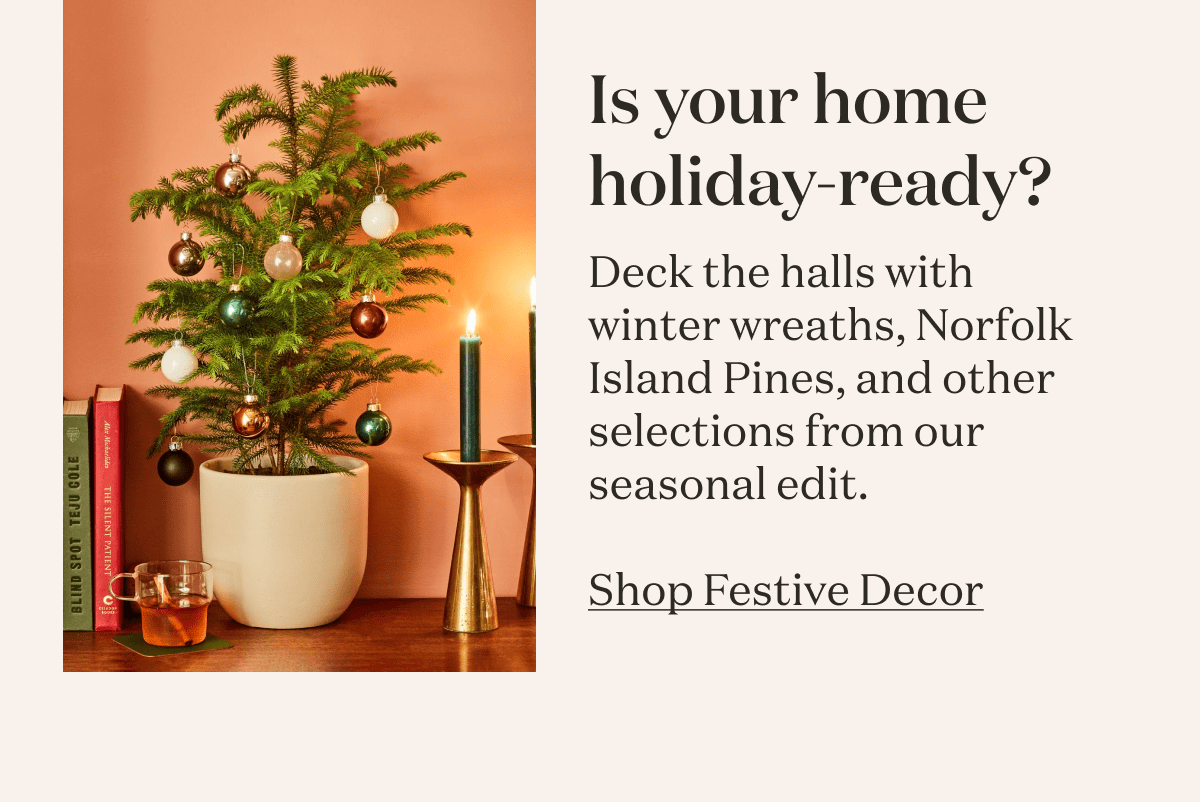 Is your home holiday-ready? Shop Festive Decor