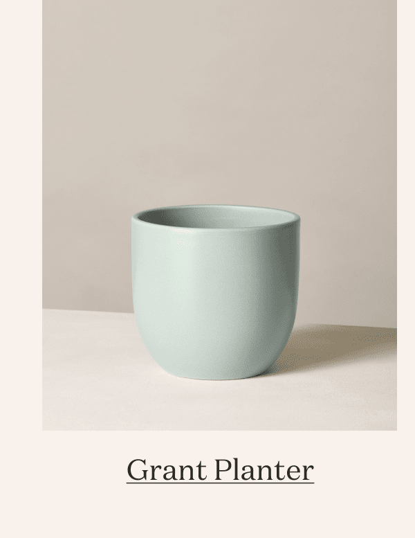 Grant Planter