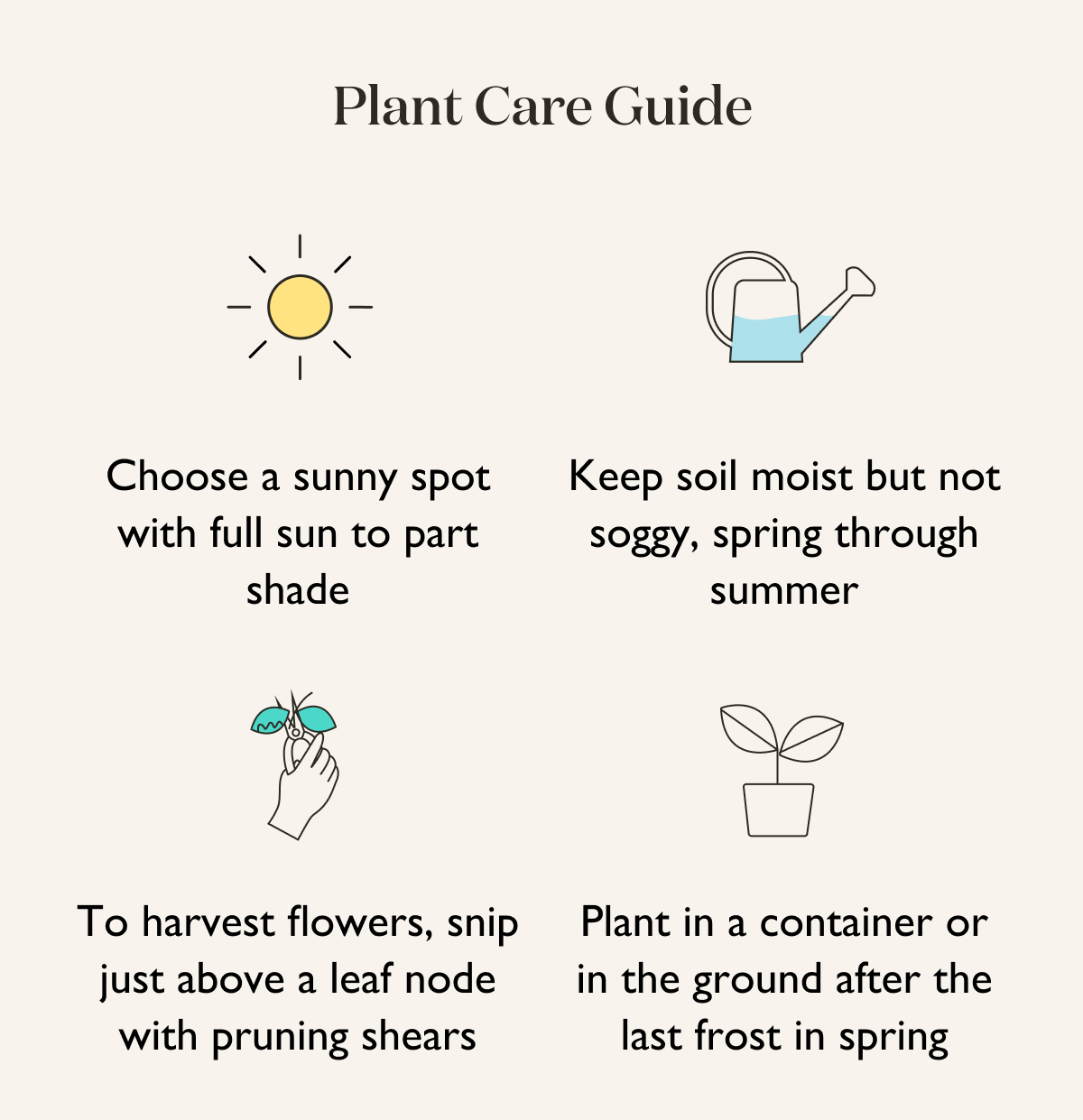 Gardenia Plant Care Guide: Full sun to part shade. Keep soil moist but not soggy. 