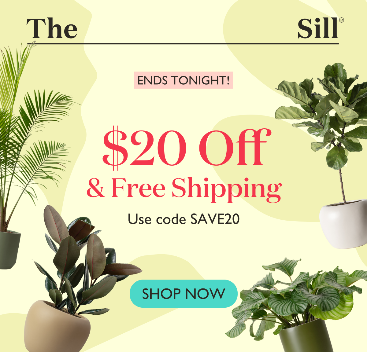 Ends tonight! $20 off orders $100 or more. Save on things you actually want with code SAVE20.