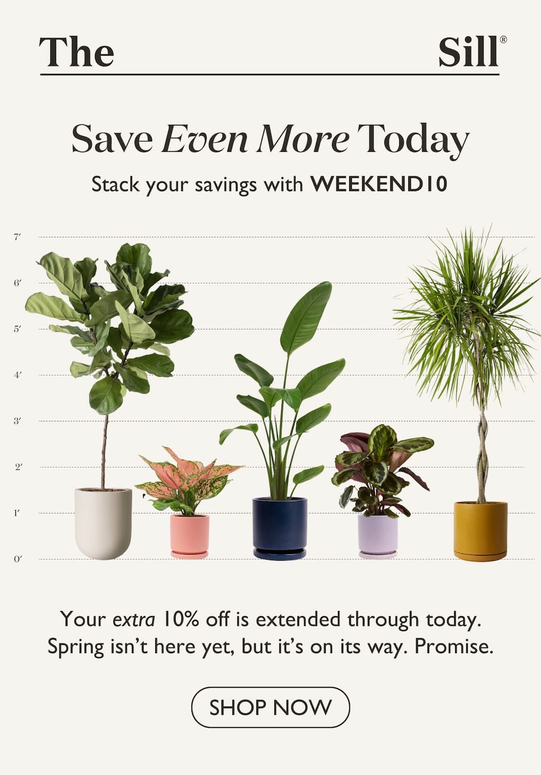 Your extra 10% off is extended through today. Spring isn't here yet, but it's on its way. Promise. Use code WEEKEND10 at checkout. 
