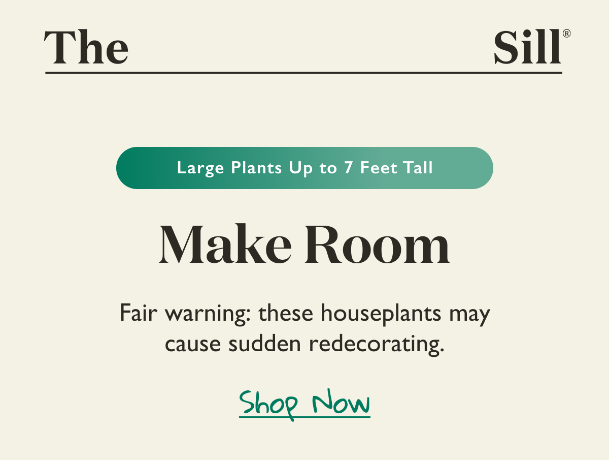 Fair warning: these houseplants may cause sudden redecorating.