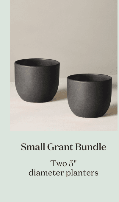 Small Grant Bundle. Two 5" diameter planters