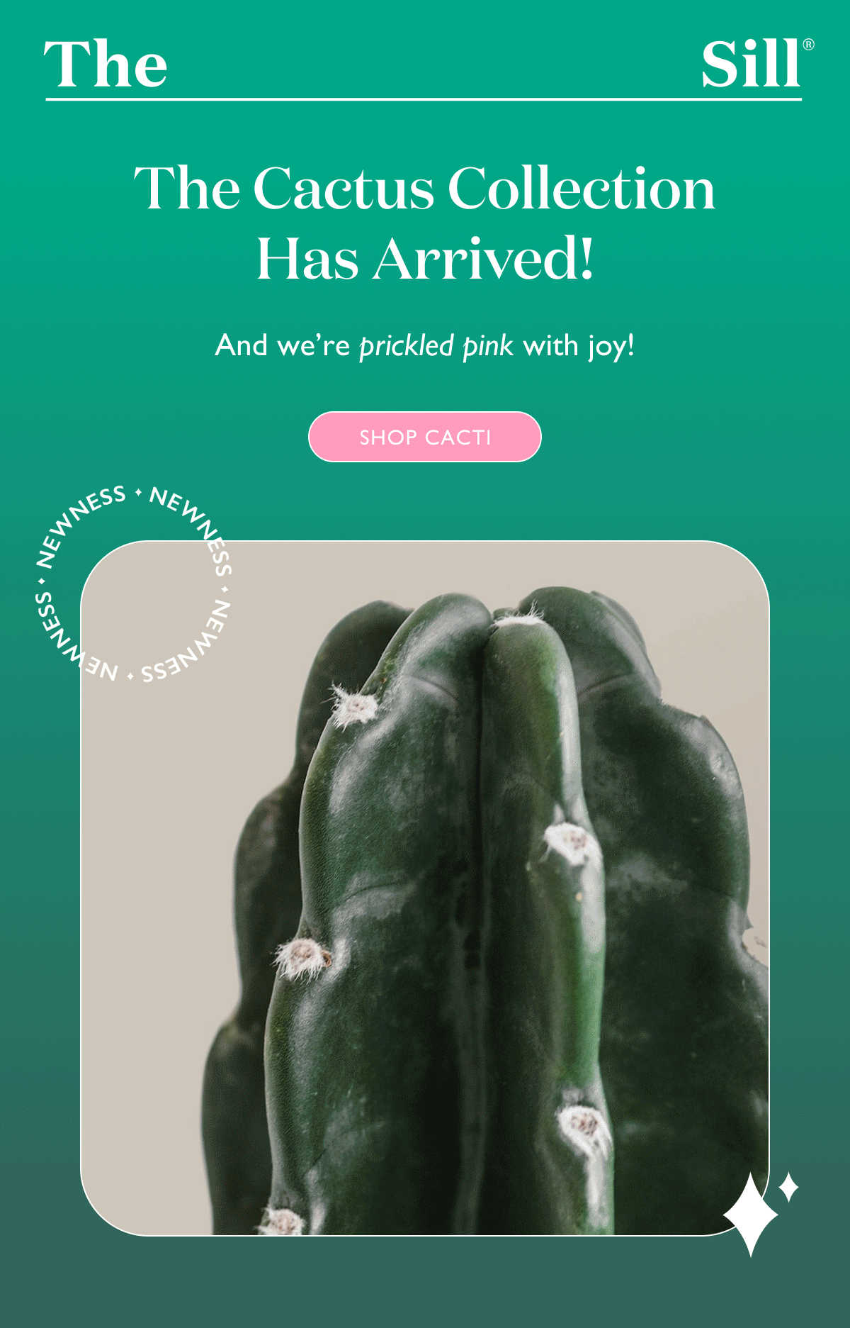 Cactus Collection Has Arrived! We're prickled pink with Joy! Shop Cacti