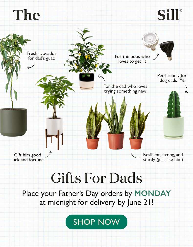 Gifts for Dad: Place your Father's Day orders by this Monday at midnight.